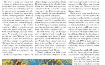 New Age May 2017