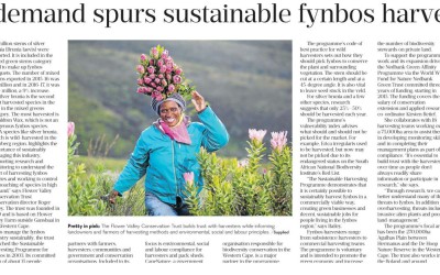 Business Day July 2017