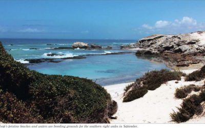 Find hope in De Hoop Collection Nature Reserve – Weekend Argus