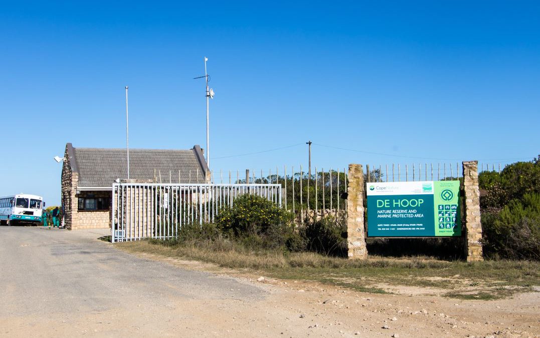 Connecting with nature at De Hoop Nature Reserve – by Dominique in the City