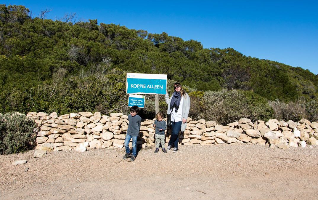 Whale Watching at De Hoop nature reserve – by Dominique in the City
