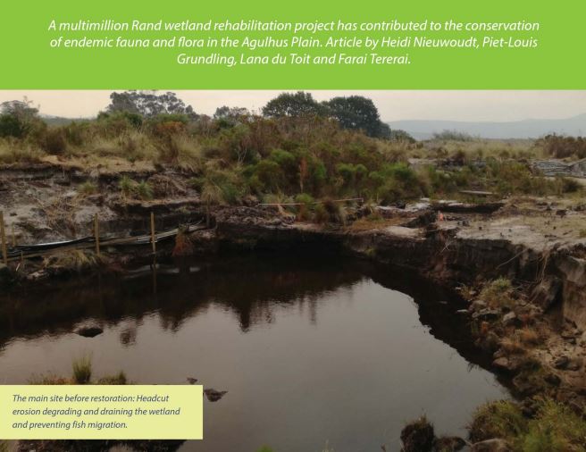Pietersieliekloof Wetland Rehabilitation Project