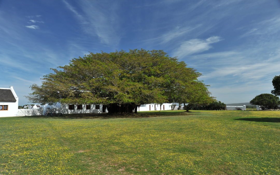 Spend the winter school holidays at De Hoop