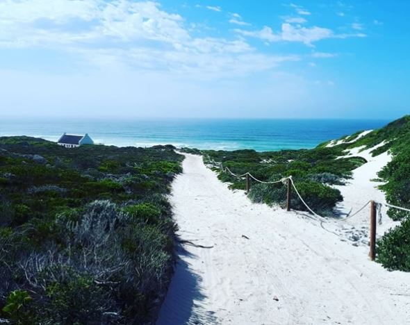 Whiling away days at De Hoop – a nature lover’s respite