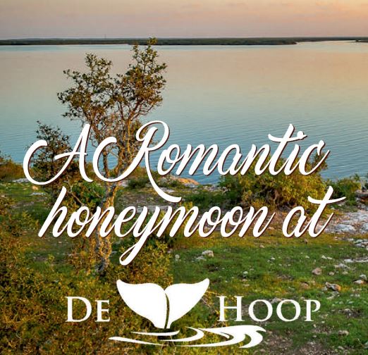 A Romantic Honeymoon at De Hoop