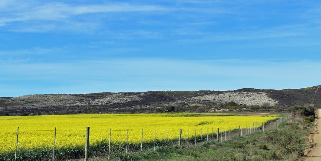 De Hoop Nature Reserve: for families…or just parents