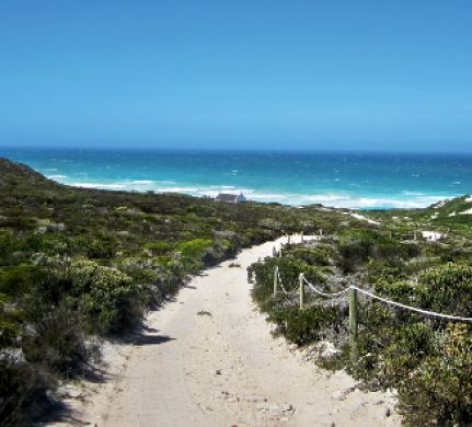 Wine and Wildlife on the Cape