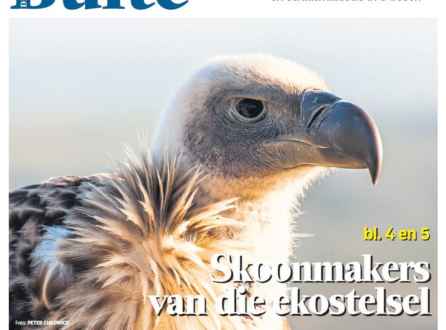 Skoonmakers van die ekostelsel