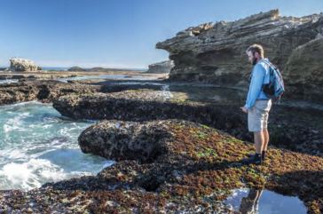 New kid on the Overberg block