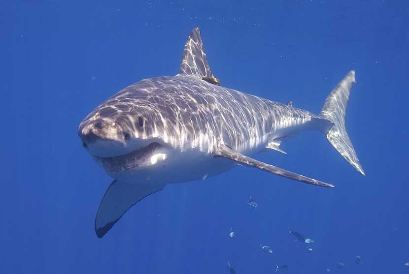 False Bay’s slow denuding – Tony Weaver