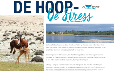 De Hoop – De Stress