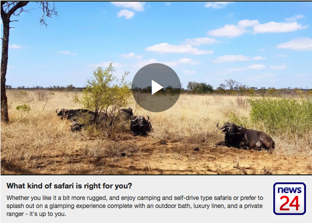 WATCH: What kind of safari is right for you?