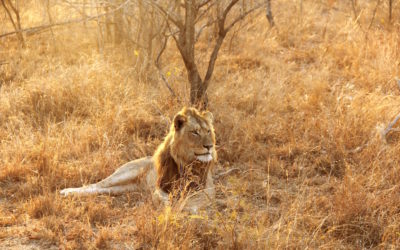 Heritage Month 2019: Free entry with SANParks and CapeNature