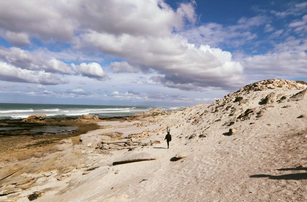 Visit De Hoop Nature Reserve