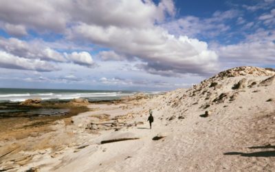 Visit De Hoop Nature Reserve
